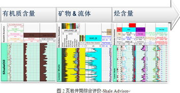 斯伦贝谢SIS中国网站 卓越的软件产品与服务，赋能能源行业数字化未来